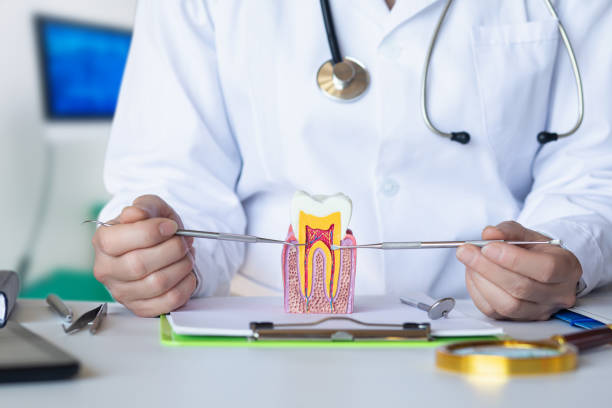 Best Urgent Care for Lost Fillings or Crowns in Exander City, AL